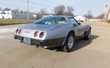 Chevrolet-Corvette-1978-14