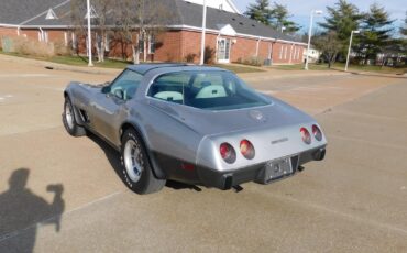 Chevrolet-Corvette-1978-17