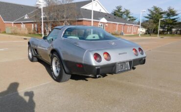 Chevrolet-Corvette-1978-18