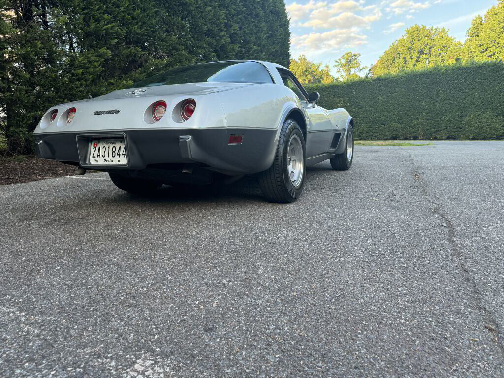 Chevrolet-Corvette-1978-20