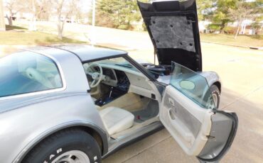 Chevrolet-Corvette-1978-29