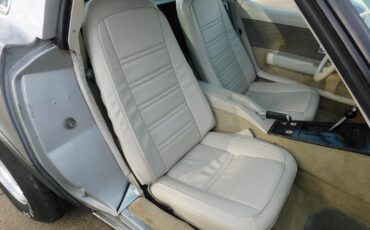 Chevrolet-Corvette-1978-32