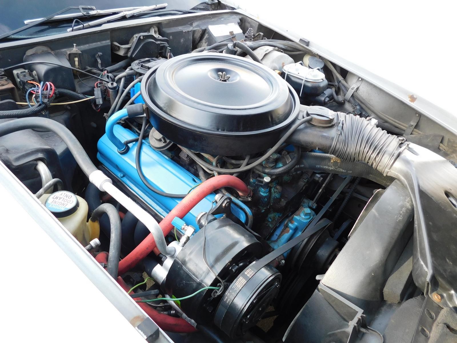 Chevrolet-Corvette-1978-37