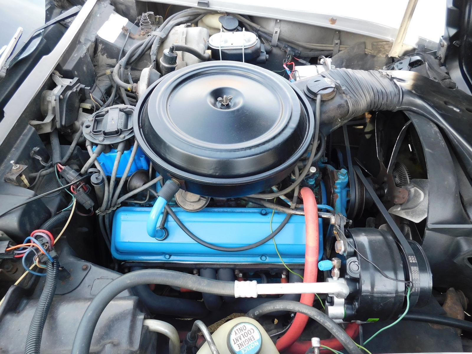 Chevrolet-Corvette-1978-38