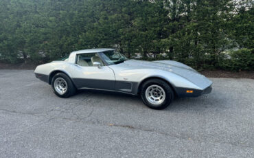 Chevrolet-Corvette-1978-8