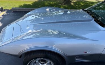 Chevrolet-Corvette-1978-Coupe-16