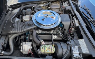 Chevrolet-Corvette-1978-Coupe-19