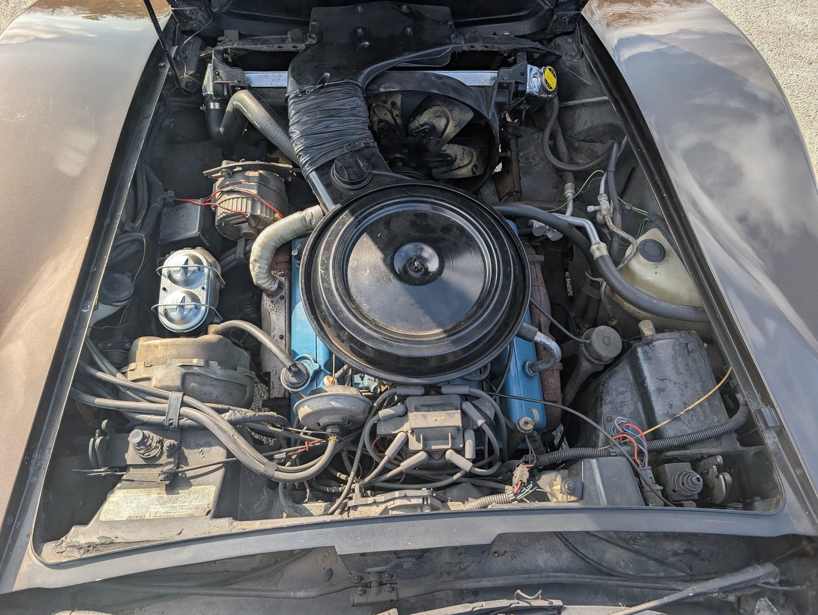 Chevrolet-Corvette-1978-Coupe-6