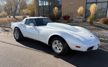 Chevrolet-Corvette-1979-12