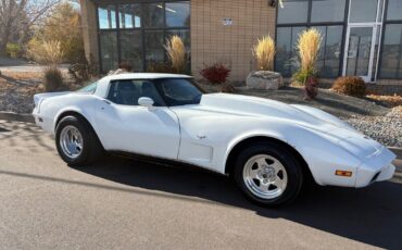 Chevrolet-Corvette-1979-13