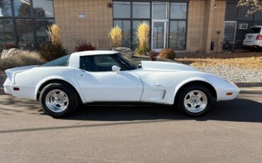 Chevrolet-Corvette-1979-14