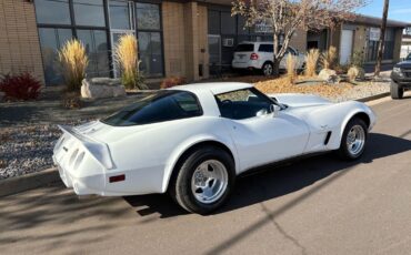Chevrolet-Corvette-1979-17