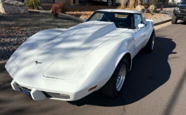 Chevrolet-Corvette-1979-23