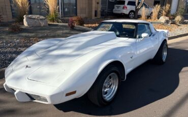 Chevrolet-Corvette-1979-24