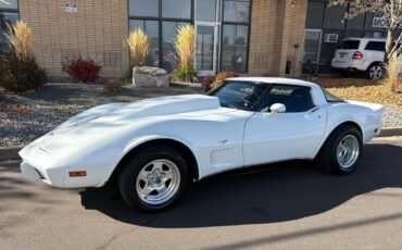Chevrolet-Corvette-1979-25