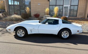 Chevrolet-Corvette-1979-26