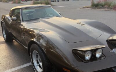 Chevrolet Corvette 1979