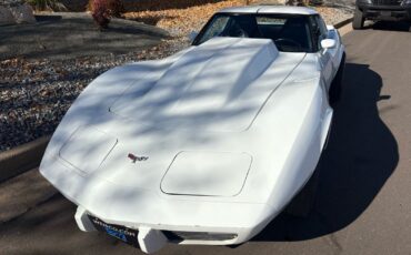 Chevrolet-Corvette-1979-6