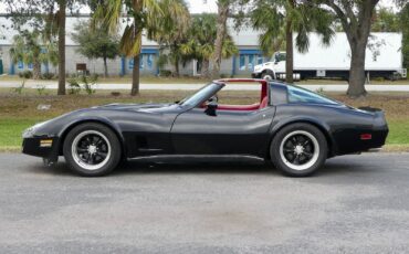 Chevrolet-Corvette-1979-Coupe-11