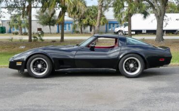 Chevrolet-Corvette-1979-Coupe-12