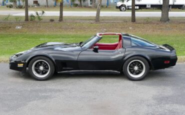 Chevrolet-Corvette-1979-Coupe-13