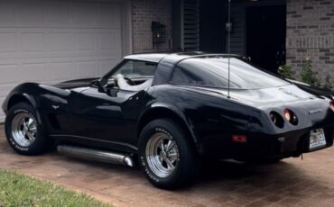Chevrolet-Corvette-1979-Coupe-15