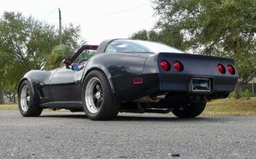 Chevrolet-Corvette-1979-Coupe-18