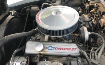 Chevrolet-Corvette-1979-Coupe-19