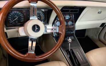 Chevrolet-Corvette-1979-Coupe-28