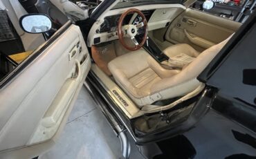 Chevrolet-Corvette-1979-Coupe-33