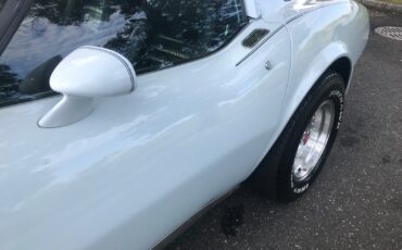 Chevrolet-Corvette-1979-Coupe-6