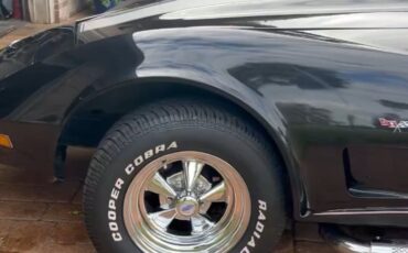 Chevrolet-Corvette-1979-Coupe-9