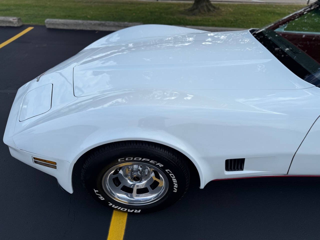Chevrolet-Corvette-1980-Coupe-16