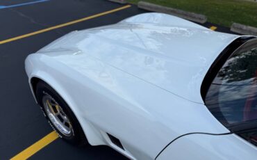 Chevrolet-Corvette-1980-Coupe-17