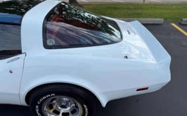Chevrolet-Corvette-1980-Coupe-19