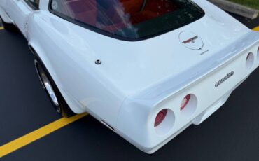 Chevrolet-Corvette-1980-Coupe-21