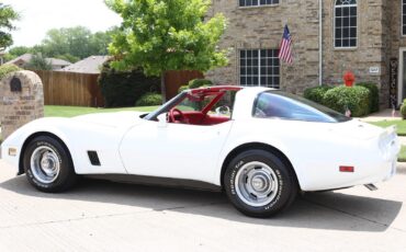 Chevrolet-Corvette-1981-Coupe-14