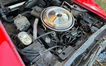 Chevrolet-Corvette-1981-Coupe-14