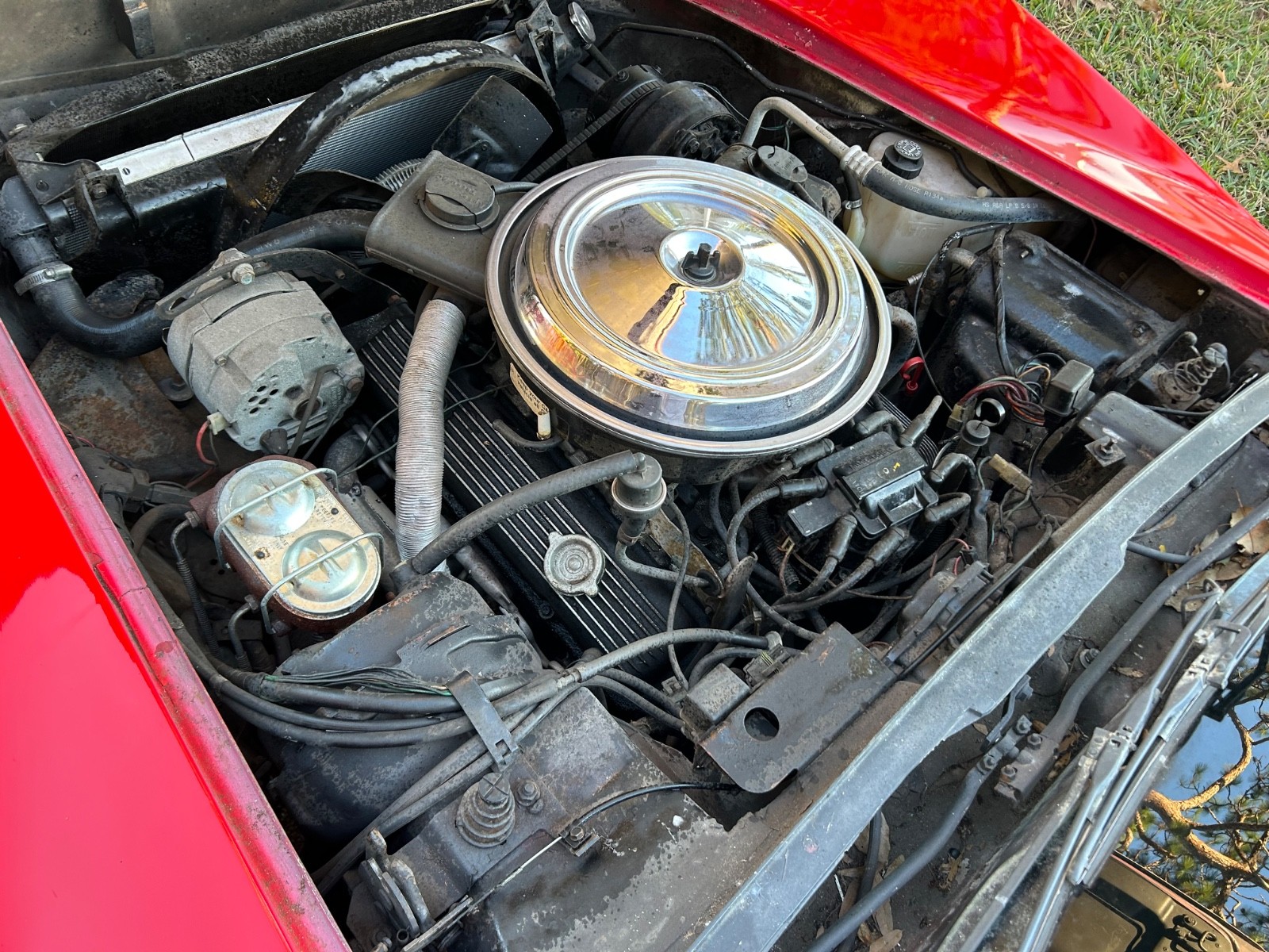 Chevrolet-Corvette-1981-Coupe-14