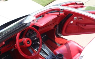 Chevrolet-Corvette-1981-Coupe-18