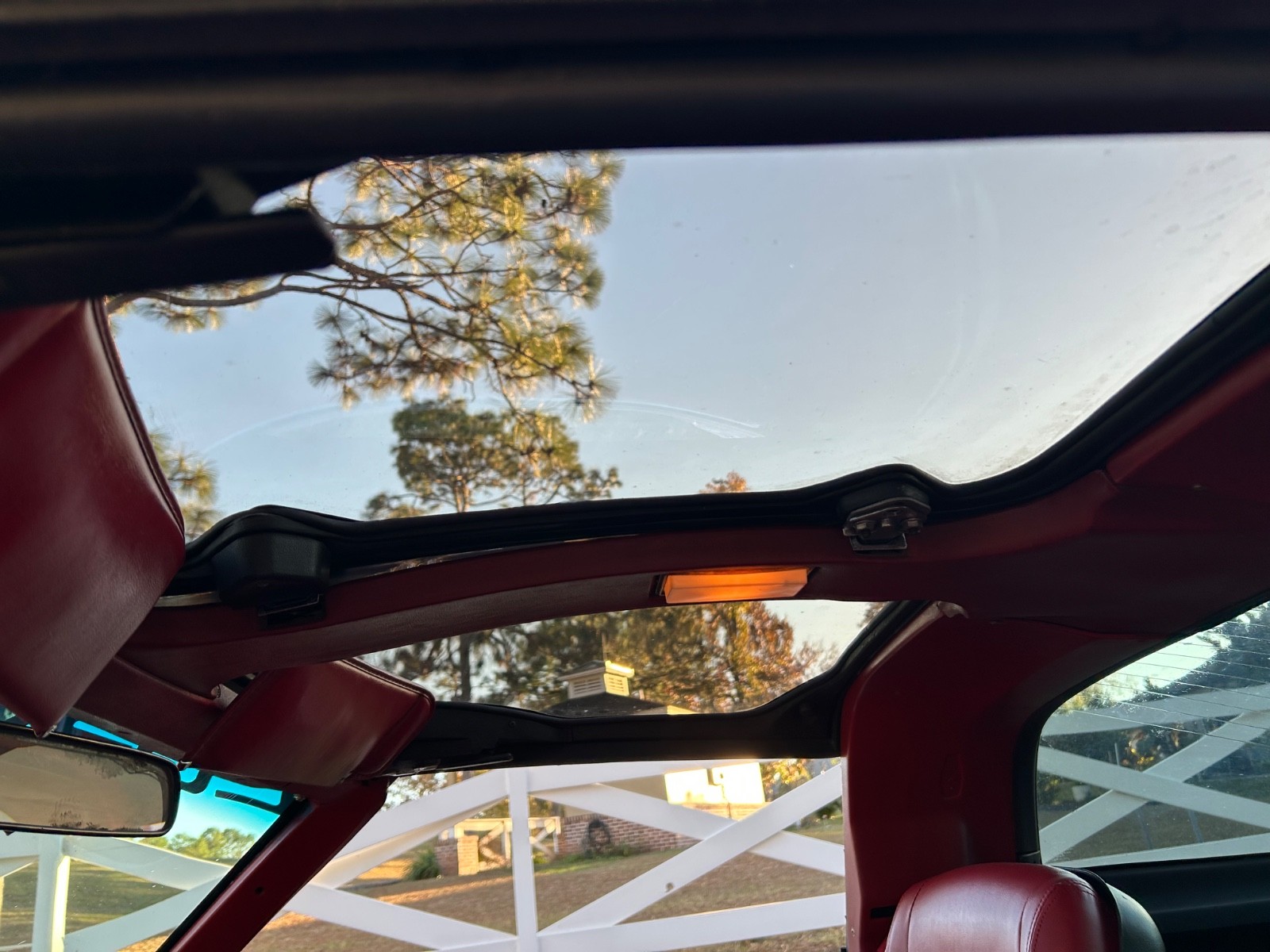 Chevrolet-Corvette-1981-Coupe-18