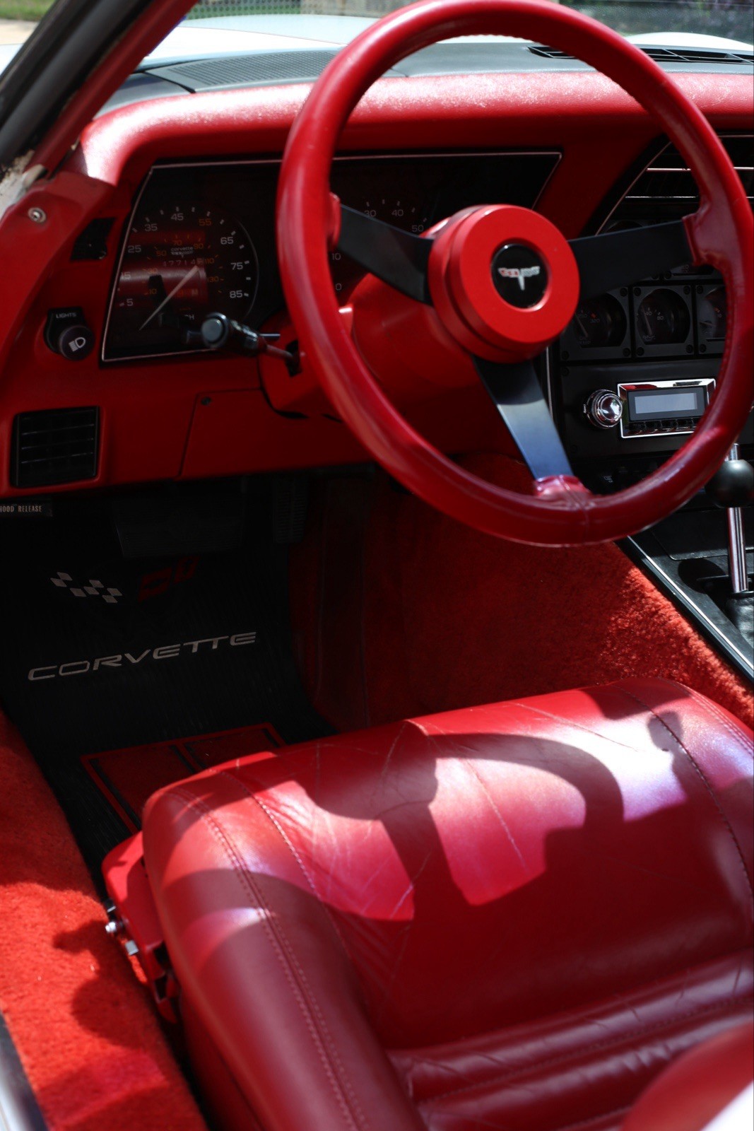 Chevrolet-Corvette-1981-Coupe-19