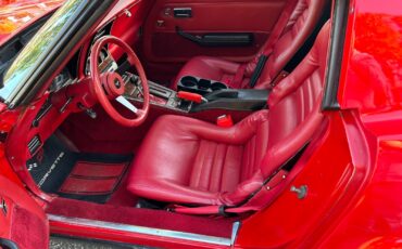 Chevrolet-Corvette-1981-Coupe-19