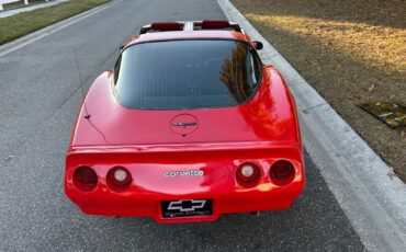 Chevrolet-Corvette-1981-Coupe-22