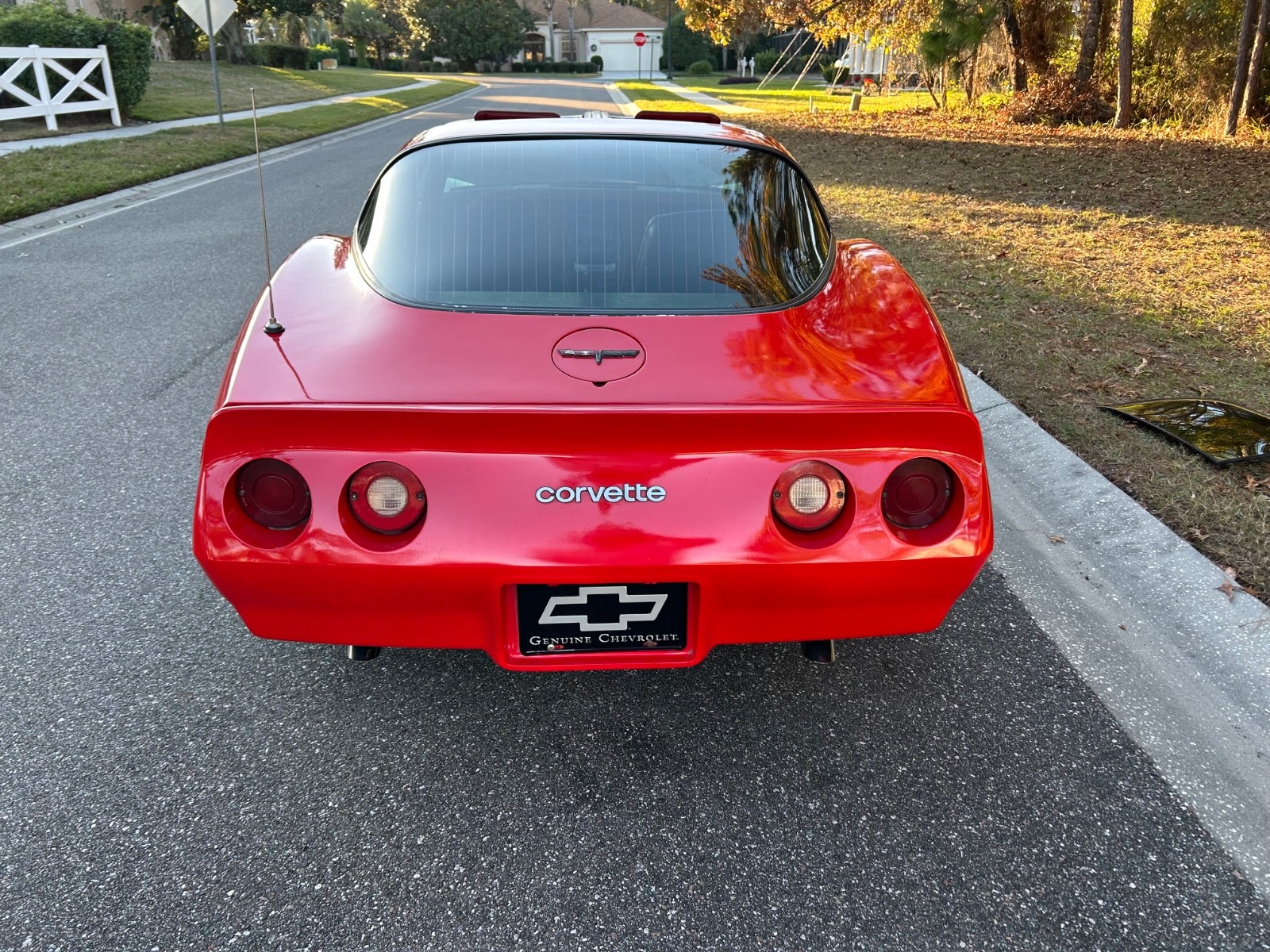 Chevrolet-Corvette-1981-Coupe-24