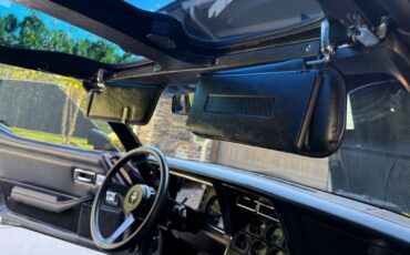 Chevrolet-Corvette-1981-Coupe-29