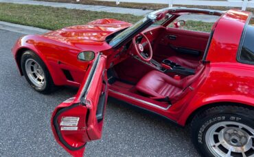 Chevrolet-Corvette-1981-Coupe-29