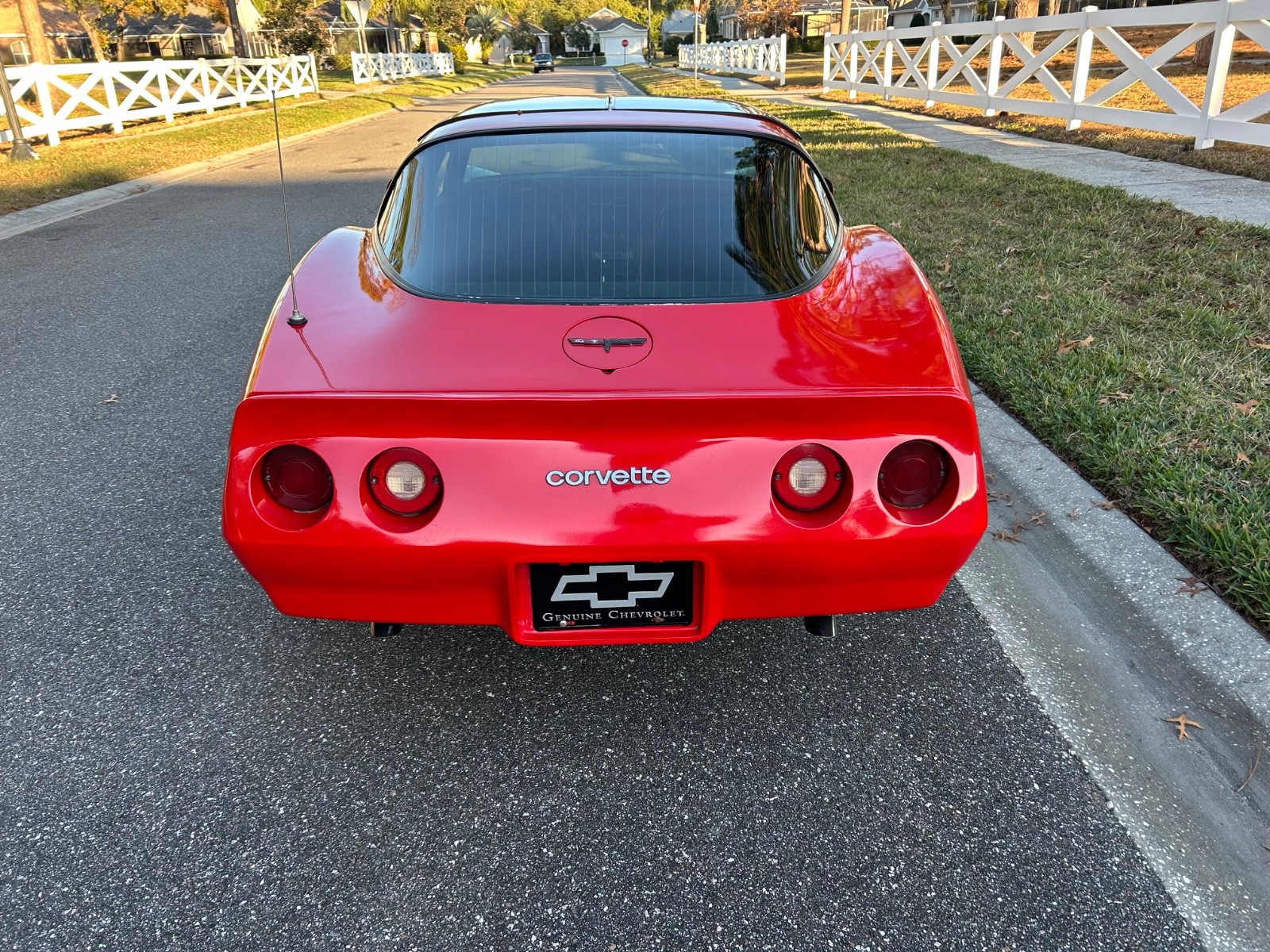 Chevrolet-Corvette-1981-Coupe-5