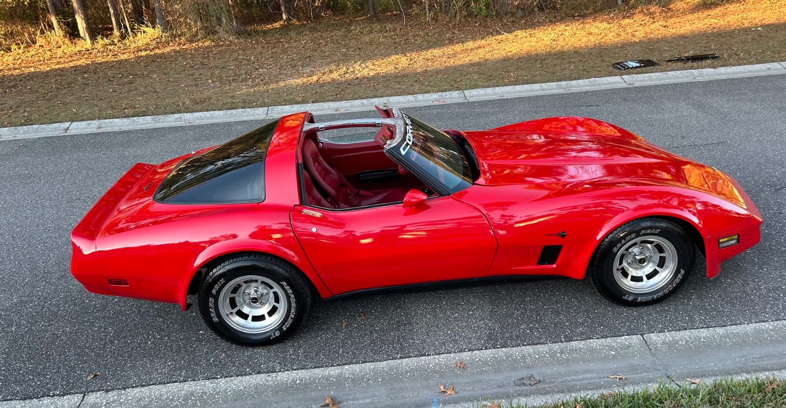 Chevrolet-Corvette-1981-Coupe-6