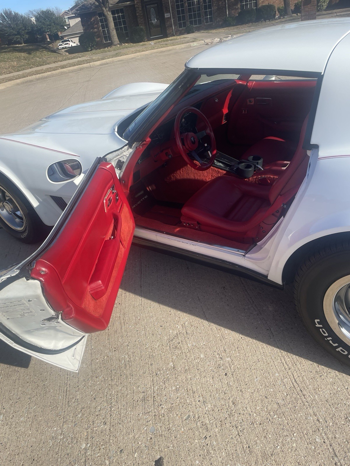Chevrolet-Corvette-1981-Coupe-7